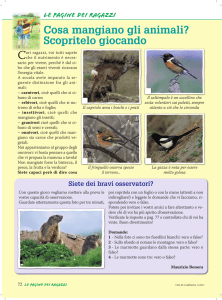 Cosa mangiano gli animali? Scopritelo giocando