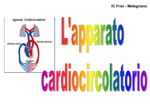 Diapositiva 1