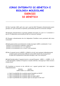 corso integrato di genetica e biologia molecolare esercizi di genetica