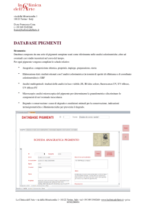 database pigmenti - La Clinica dell`Arte