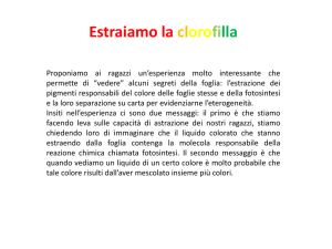 clorofilla A