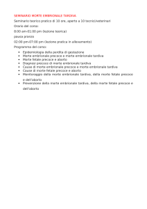 SEMINARIO MORTE EMBRIONALE TARDIVA