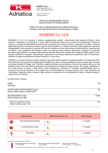 KODENS Cu 12-6