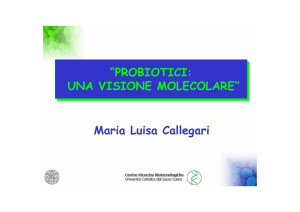 PROBIOTICI: UNA VISIONE MOLECOLARE