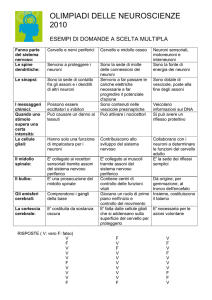 OLIMPIADI DELLE NEUROSCIENZE 2010