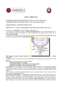 policlinico umberto i - RadionPat