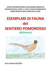 esemplari di fauna del sentiero pomo rosso
