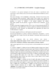 il contadino2 - Pulcarelli