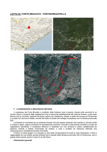 LOTTO 23. FORTE BRUCIATO