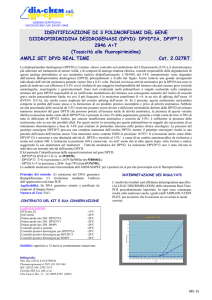 2.027 Ampli set DPYD - Dia