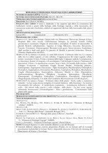 8--Programmi Guida 2014-15 (F.Peluso, 3 programmi)