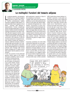 Le molteplici funzioni del tessuto adiposo