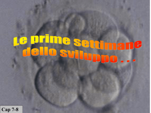 Presentazione di PowerPoint