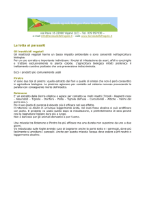 scheda in formato pdf - Teresa delle Fragole