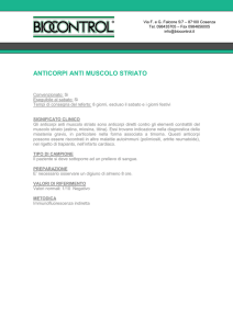 anticorpi anti muscolo striato