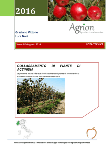 Graziano Vittone Luca Nari COLLASSAMENTO DI PIANTE DI