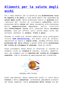 Alimenti per la salute degli occhi
