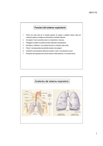 10_Sistema Respiratorio