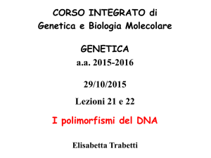 Allele 1