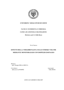 universita` degli studi di udine effetti della noradrenalina
