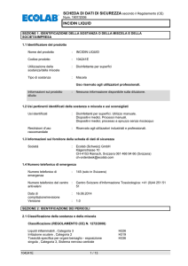 INCIDIN LIQUID - Ecolab (Schweiz)