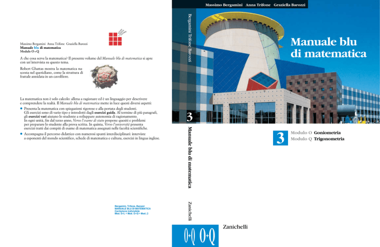 Zanichelli Matematica Blu Esercizi Svolti Volume 1 Manuale blu di matematica – Modulo O
