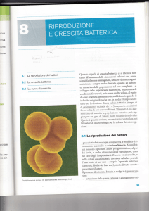 8.1 La riProduzione dei batteri