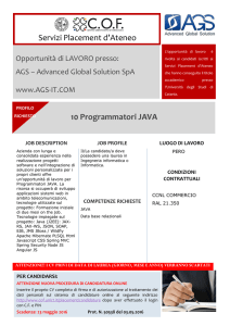 Servizi Placement d`Ateneo 10 Programmatori JAVA