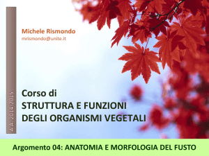 Diapositiva 1 - Progetto e