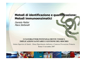 Metodi immunoenzimatici - Istituto Superiore di Sanità