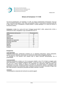 Striscio di formazione 11-11-HD