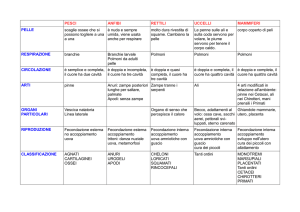 Schema riassuntivo sui Vertebrati
