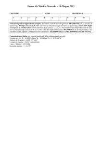 19 Giugno 2013 (I sessione)
