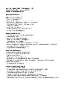 Scienze Naturali - stein" gavirate