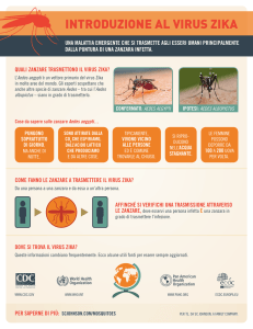 introduzione al virus zika