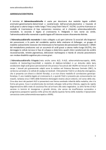 leggi questo documento per approfondire l`argomento