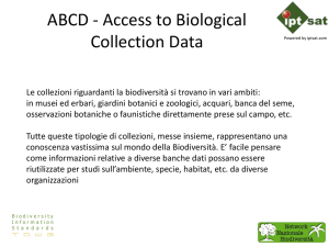 NNB presentazione tecniche Webgis, ABCD (Pdf presentazione)