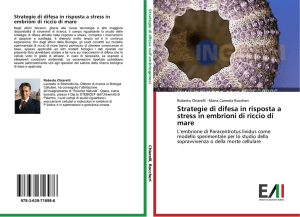 Strategie di difesa in risposta a stress in embrioni di