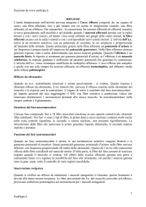 Scaricato da www.sunhope.it 1 SunHope.it RIFLESSI L`unità
