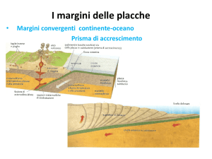 I margini delle placche