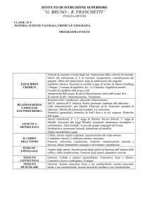 istituto di istruzione superiore - i.i.s. bruno
