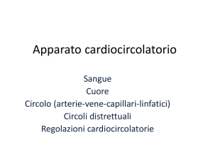 Apparato cardiocircolatorio