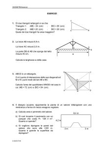 ESERCIZI 1. Di due triangoli rettangoli si sa che: Triangolo 1: (cm