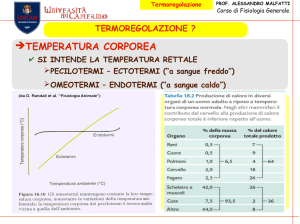 Termoregolazione
