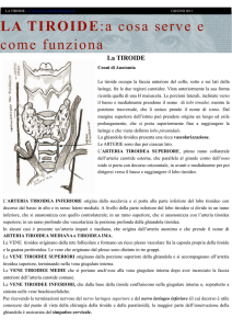 LA TIROIDE