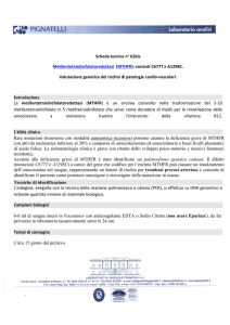 Scheda tecnica n° 62bis Metilentetraidrofolatoreduttasi (MTHFR