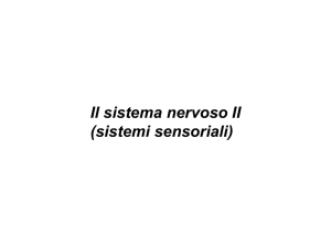 3_Sistema nervoso 2