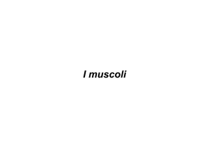 4_I muscoli