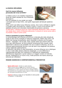 LA NUOVA INFLUENZA Cos`è la nuova influenza provocata dal