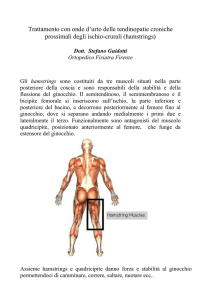 Onde d`urto nelle tendinopatie croniche